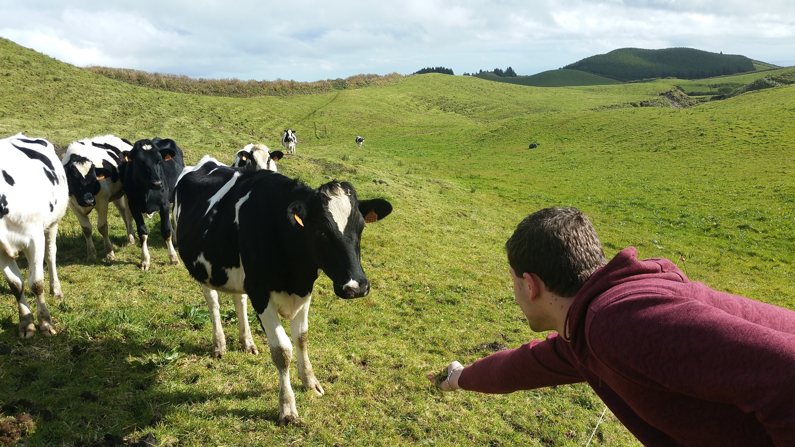 The Azores Jewels of Portugal
