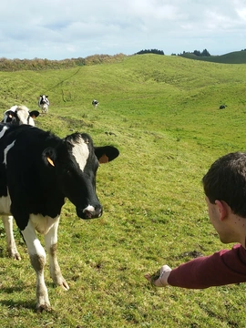 The Azores Jewels of Portugal