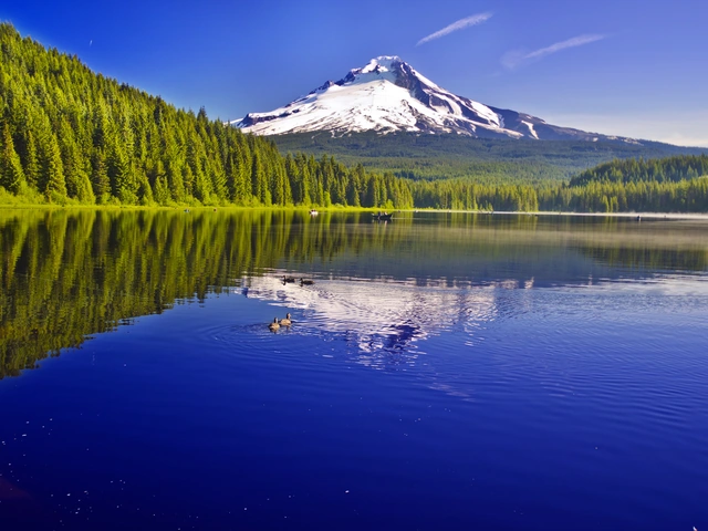 Mackinac Island featuring The Grand Hotel