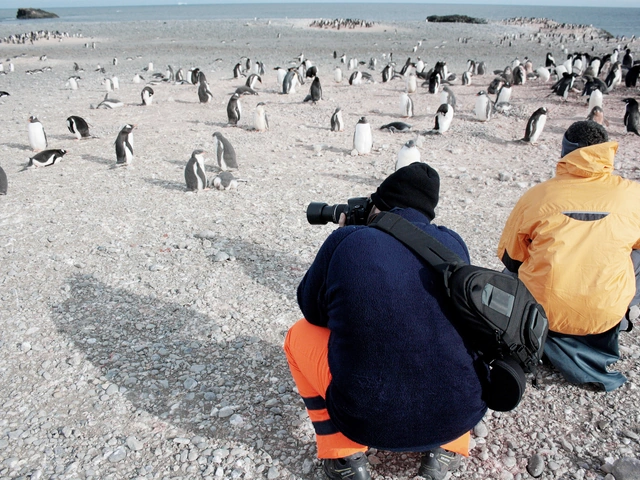 Journey to Antarctica: The White Continent aboard the National Geographic Explorer