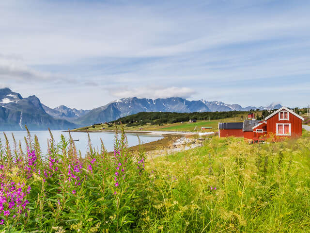 Exploring the Alpine Countries Austria - Germany - Switzerland