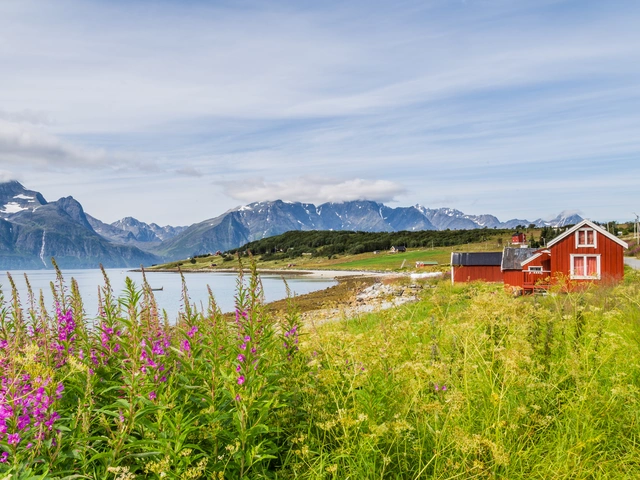 Exploring the Alpine Countries Austria - Germany - Switzerland