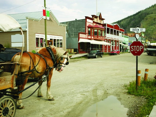Alaska and The Yukon featuring the Yukon, Fairbanks and Denali