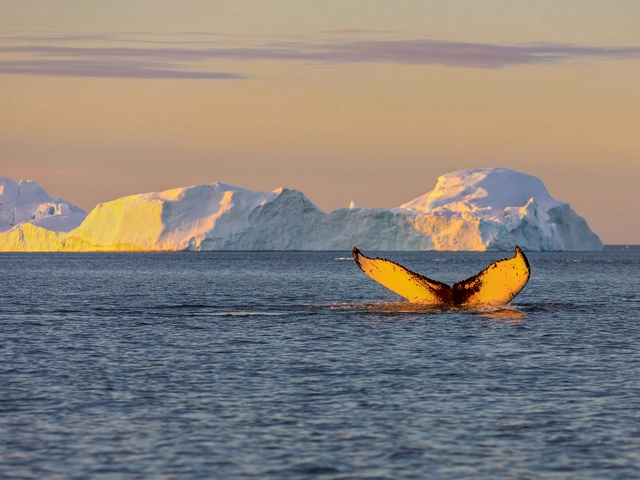 Greenland & Iceland: A Nordic-Inspired Voyage