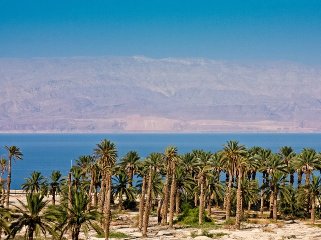 Springtime Tulip River Cruise featuring Dutch and Belgian Waterways