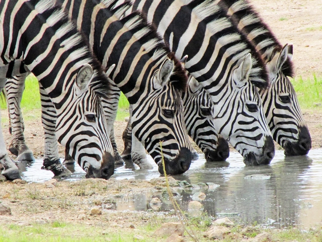 Spectacular South Africa Culture & Nature in Harmony