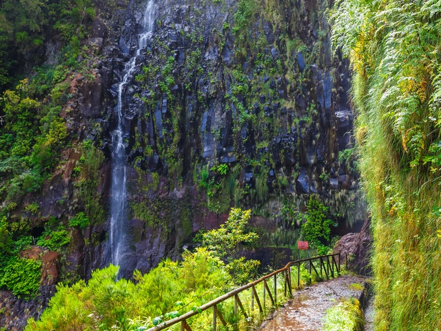 Islands of New England