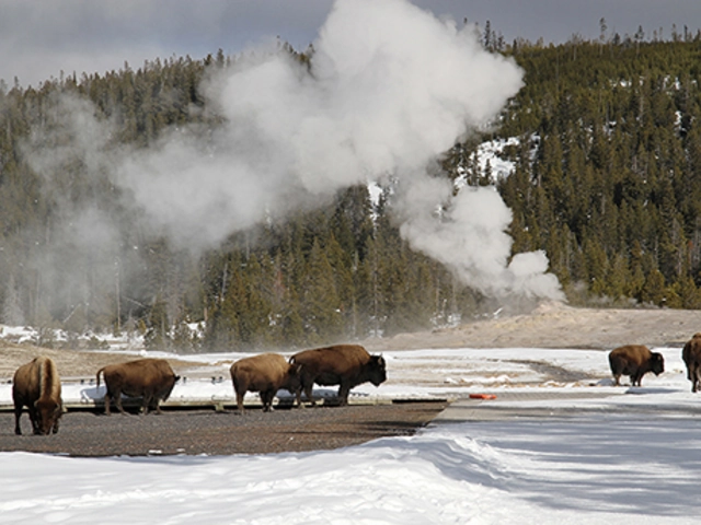 Discover Switzerland, Austria & Bavaria with Oberammergau Passion Play