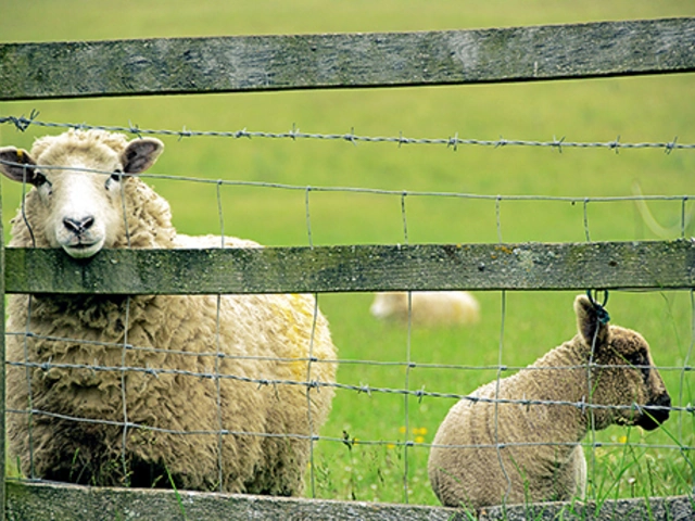 Costa Rica: A World of Nature featuring Tortuguero National Park, Arenal Volcano & Manuel Antonio National Park