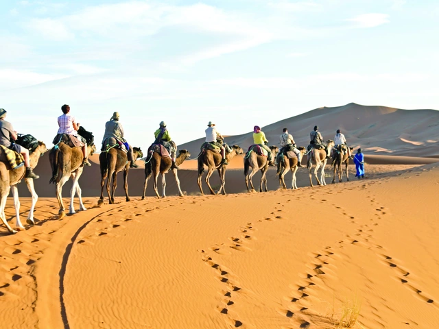 Colors of Morocco