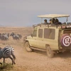 Tanzania Safari Experience