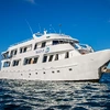 Galápagos — Central, South & East Islands aboard the Yolita