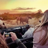 Explore Kruger National Park