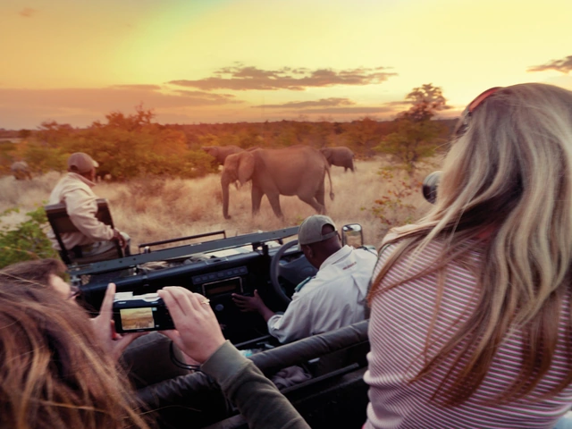 Explore Kruger National Park