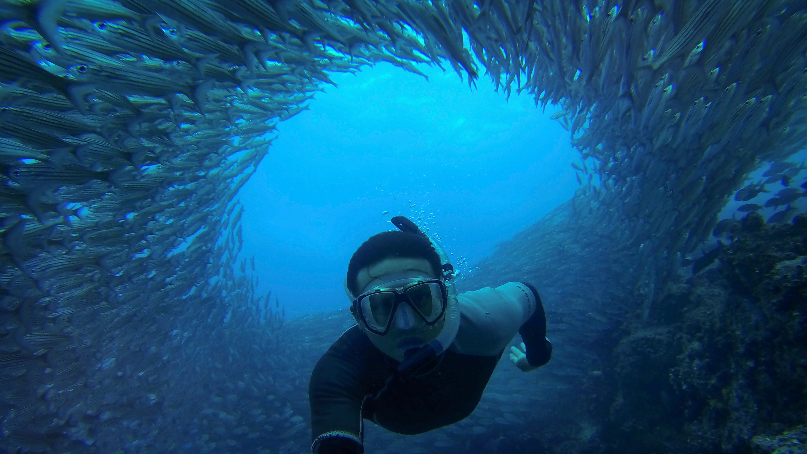 Galapagos — West & Central Islands Photography Tour