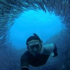 Galapagos — West & Central Islands Photography Tour