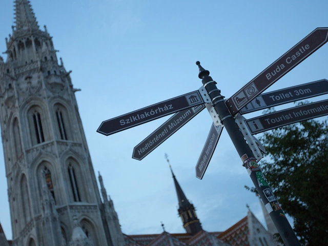 Central & Eastern Europe Highlights