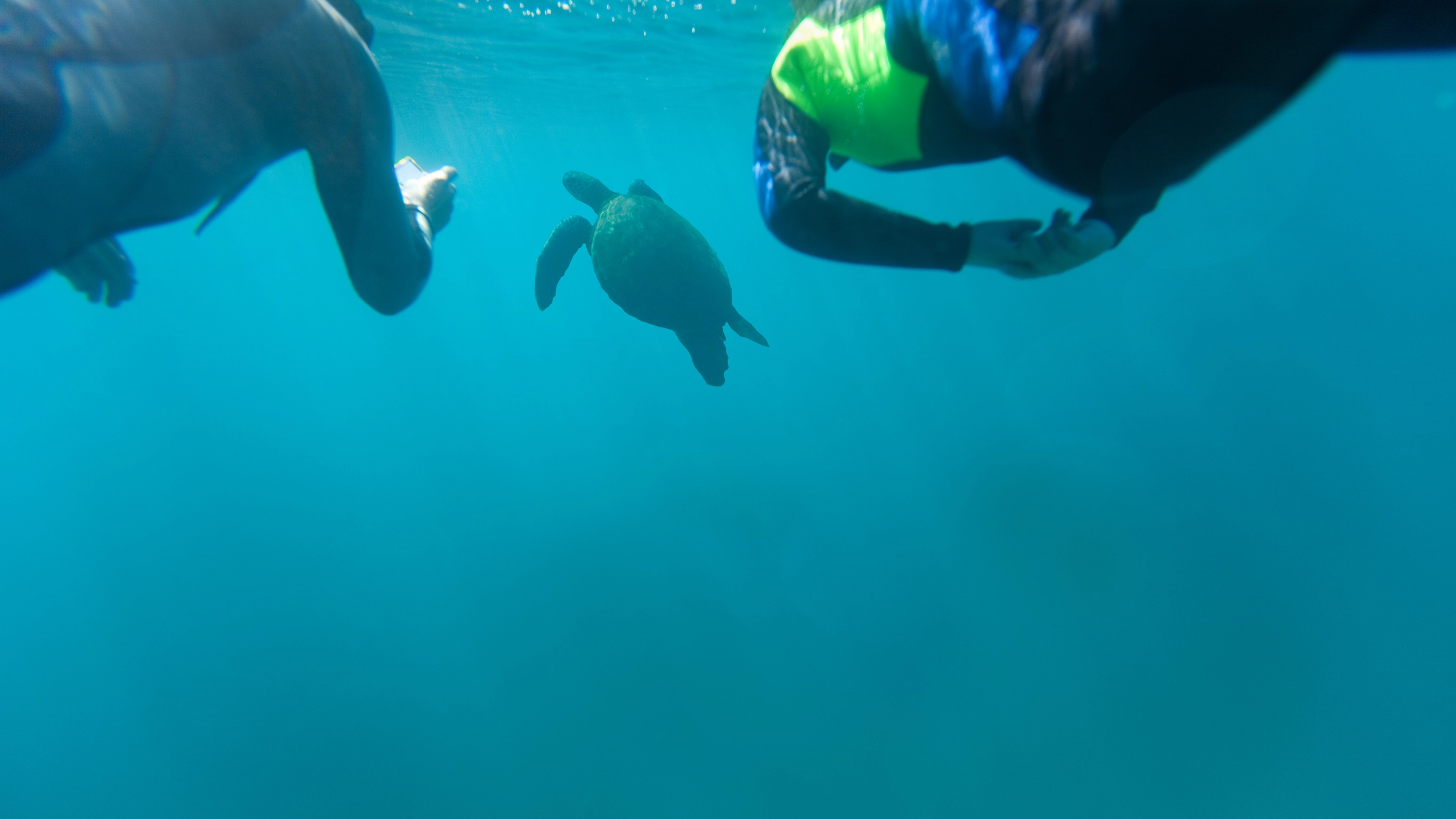 Galápagos — Central, South & East Islands aboard the Monserrat