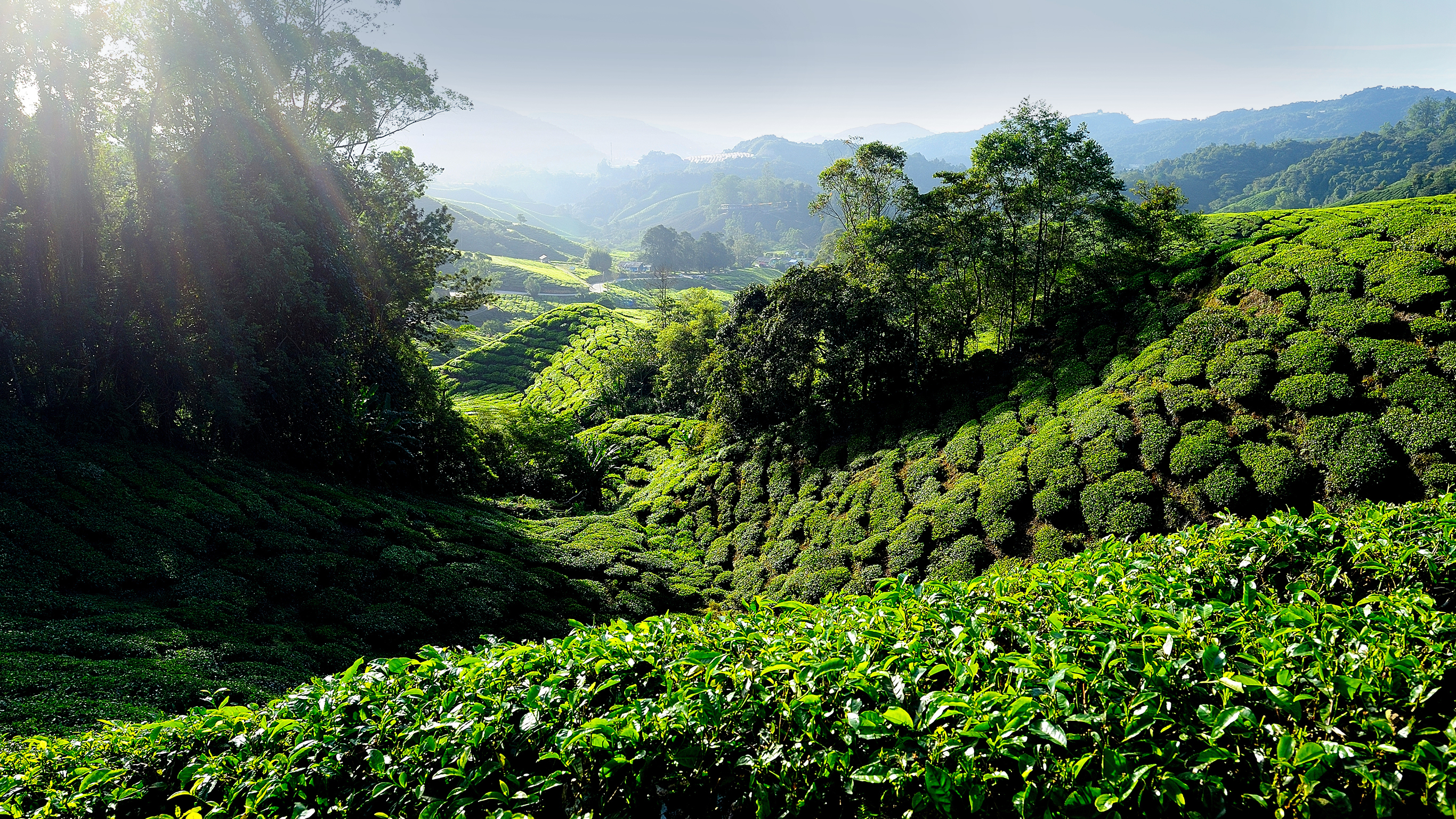 Kuala Lumpur to Bangkok Adventure