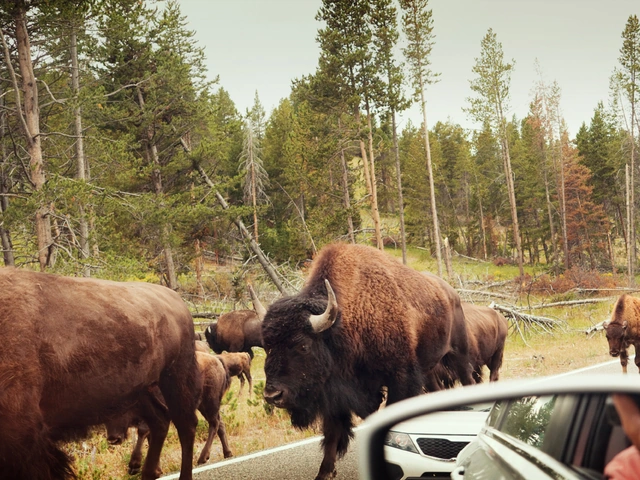 National Parks of the Northwest US