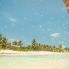 Mayan Sun Northbound: Cobblestones & Caribbean Culture