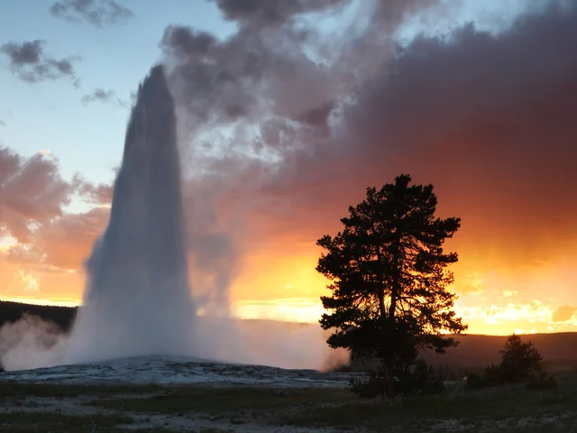 Camping Yosemite & Yellowstone