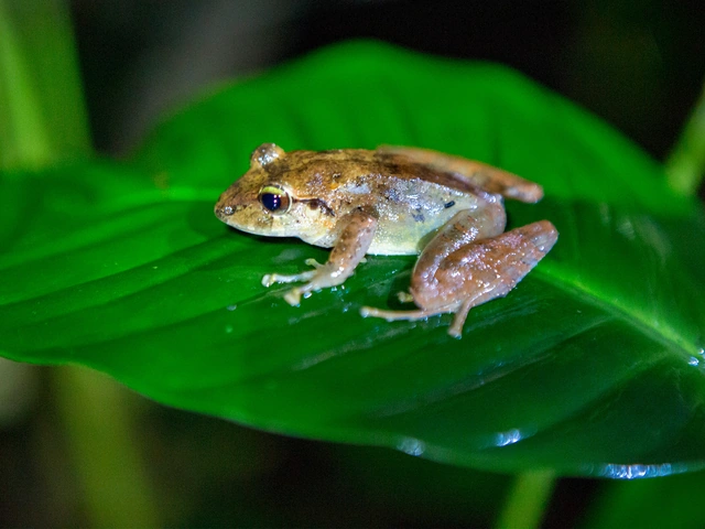 TailorMade Costa Rica: Natural Wonders