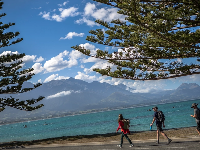 New Zealand: South Island Encompassed