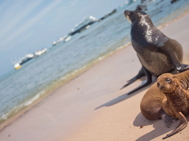 Galápagos Island Hopping