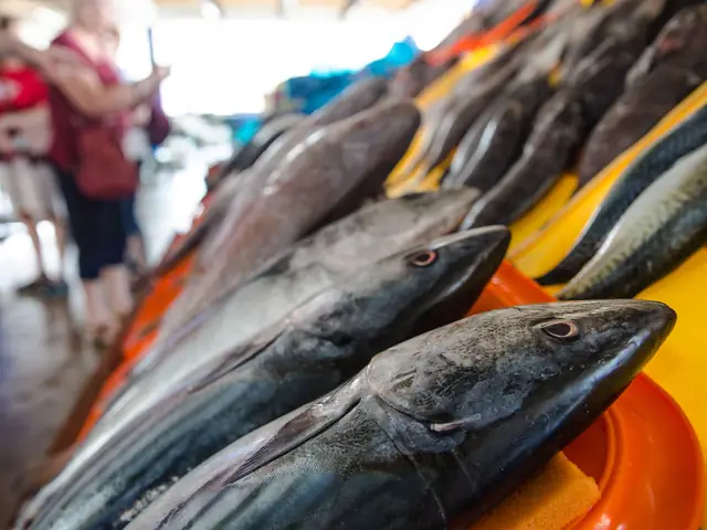 Classic Lima Mini Adventure