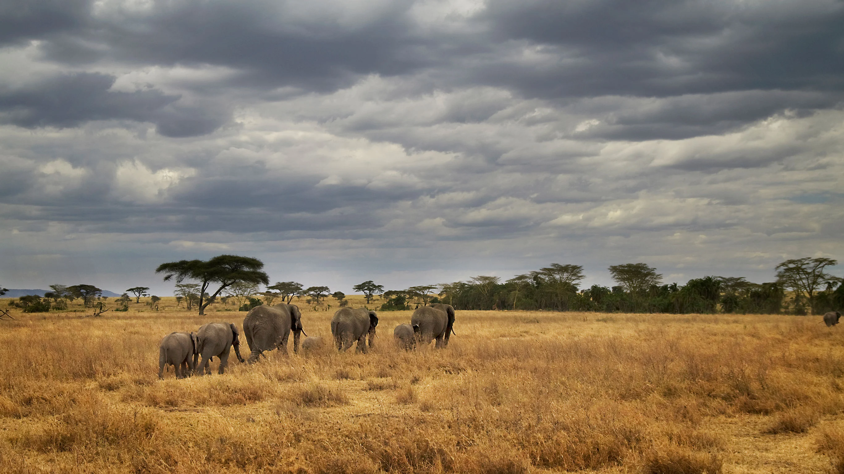 Masai & Tanzania Camping Safari