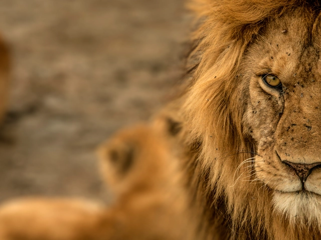 Ultimate East Africa