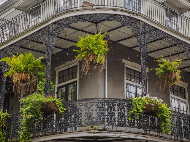 Highlights of the Deep South