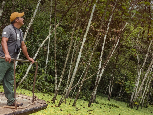 G Lodge Amazon - 5 Day Independent Adventure