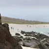 Land Galápagos in Style Extension