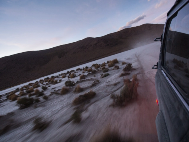 Andes to the Atlantic Experience