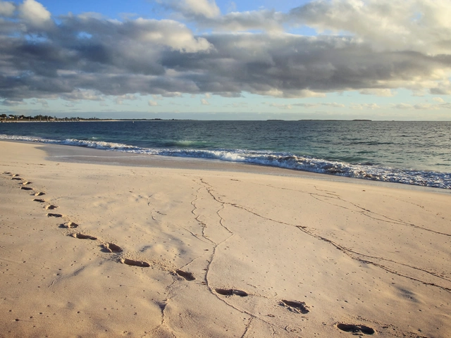 Queensland Adventure: Rainforests & Waterfalls