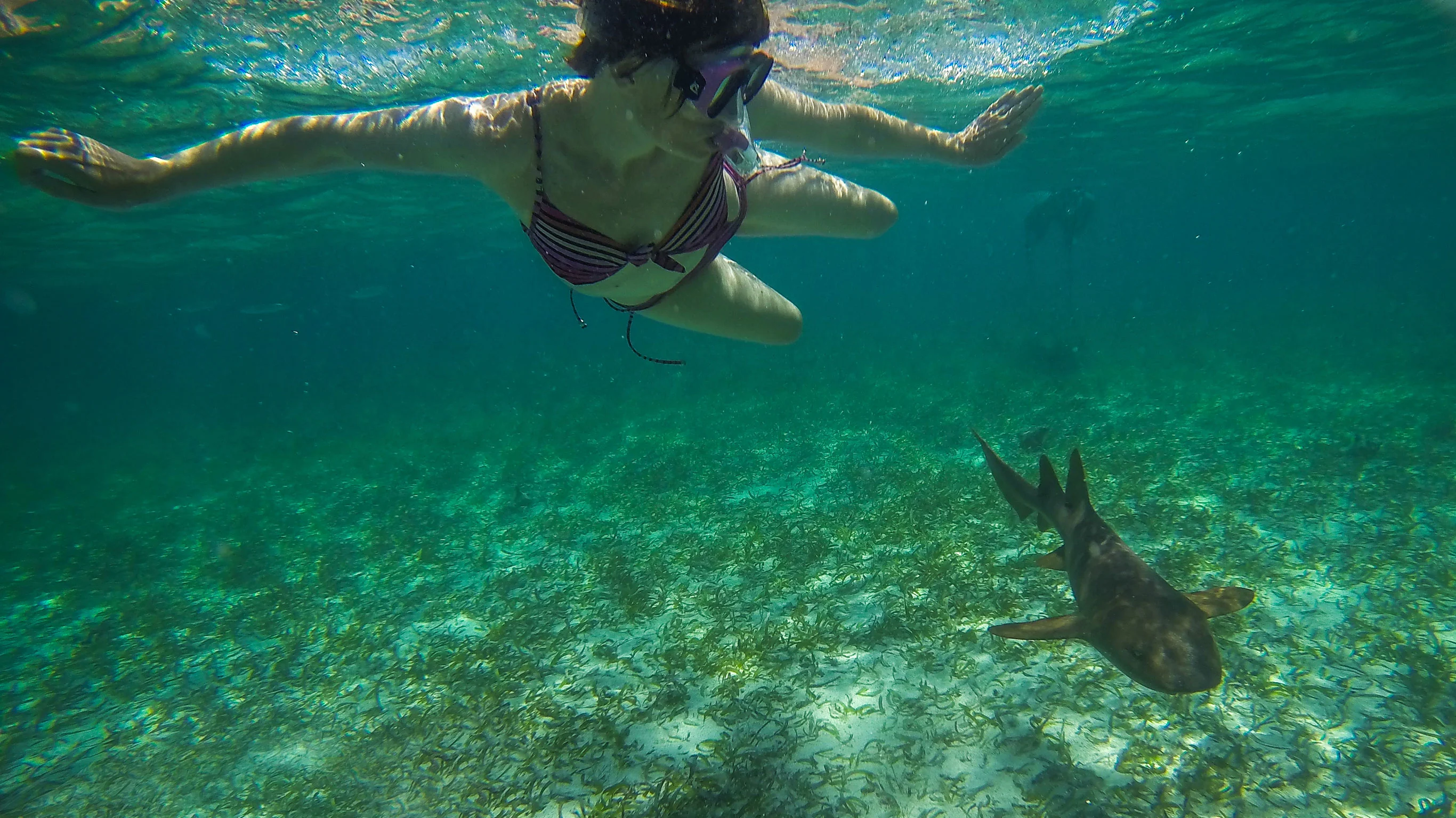 Belize & Tikal Adventure