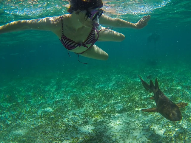 Belize & Tikal Adventure