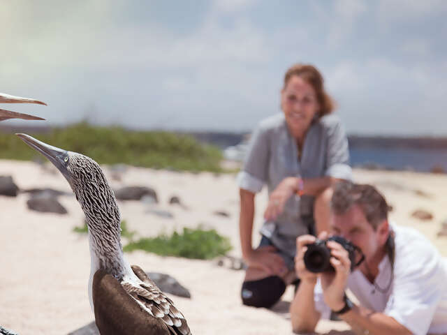 Galápagos — South Islands aboard the Xavier III