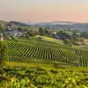 Walking Piedmont and the Barolo Wine Region