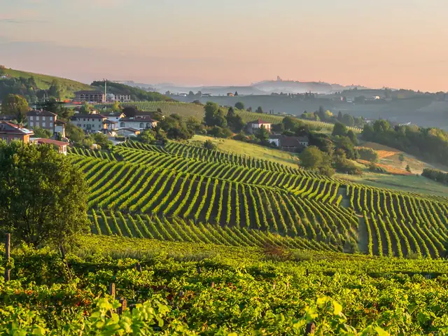 Walking Piedmont and the Barolo Wine Region