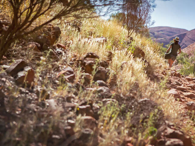 Australia South to North–Melbourne to Darwin