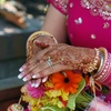 South India - Kerala Dreaming