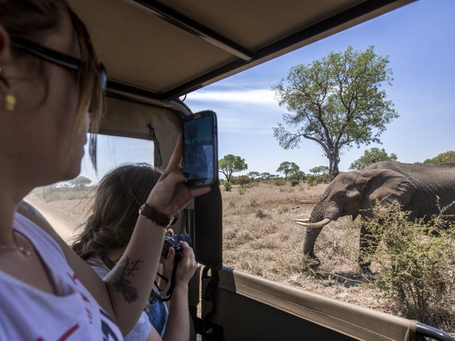 TailorMade Southern Africa: Cape Town, Kruger & Zimbabwe