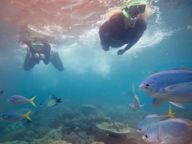 New Zealand: North Island Encompassed