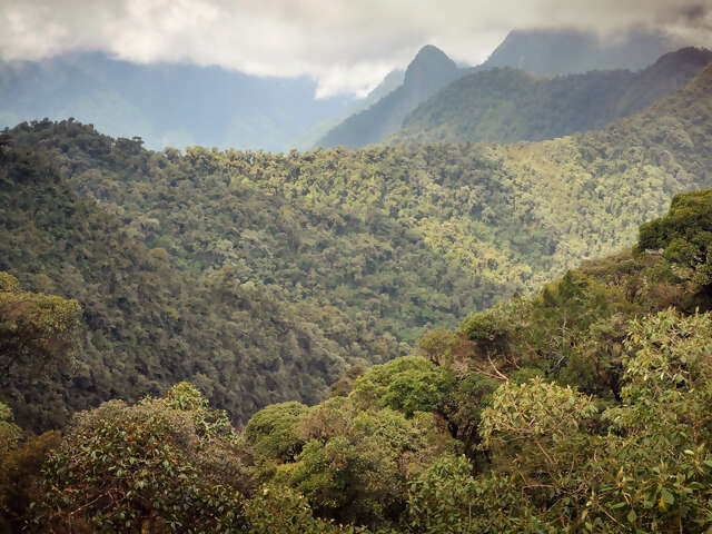 Cloud Forest Independent Adventure