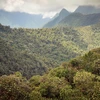 Cloud Forest Independent Adventure