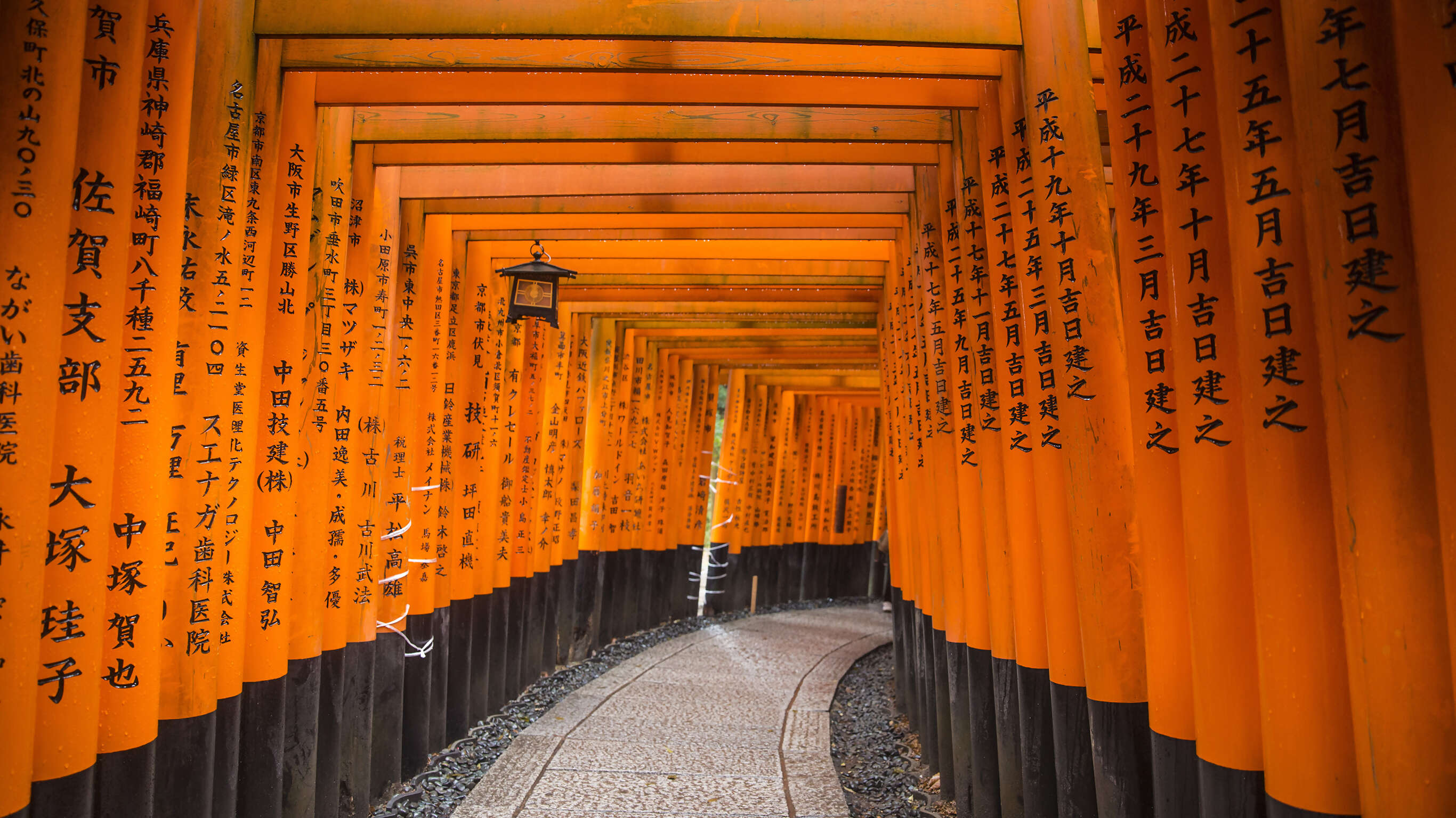 Backroads of Japan