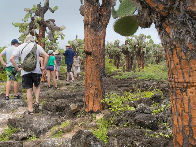 Galápagos Land & Sea — North & Central aboard Estrella del Mar